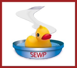 sewp vi logo square
